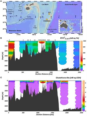 Distribution and behaviour of reduced sulfur substances in the oligotrophic and hydrothermal waters of the Western Tropical South Pacific